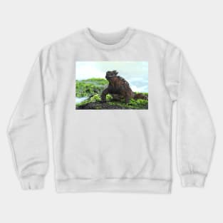 Galapagos Marine Iguana Crewneck Sweatshirt